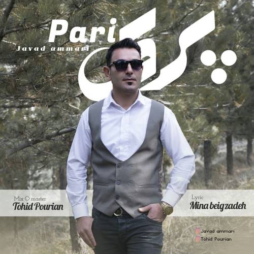 جواد عماری پری